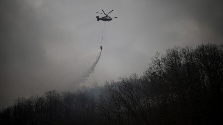 Güney Kore'de orman yangınına müdahale sırasında düşen helikopterin pilotu öldü