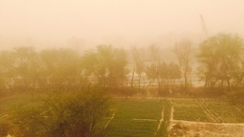 İran’da kum fırtınası 802 kişiyi hastanelik etti