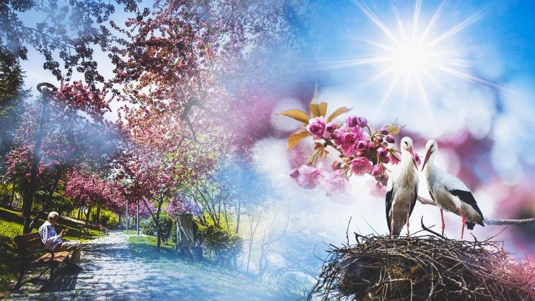 Bugün hava nasıl olacak? - Son Dakika Haberleri