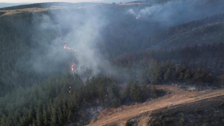 Balıkesir’de çıkan orman yangını kontrol altında