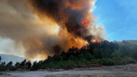 Balıkesir'de orman yangını - Son Dakika Haberleri