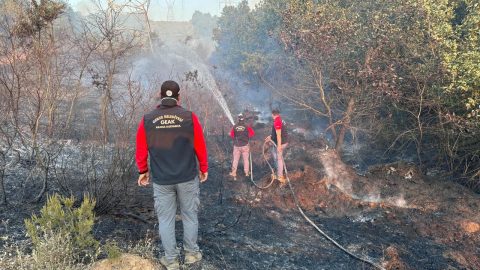 Kocaeli'de ormanlık alanda çıkan yangına müdahale ediliyor