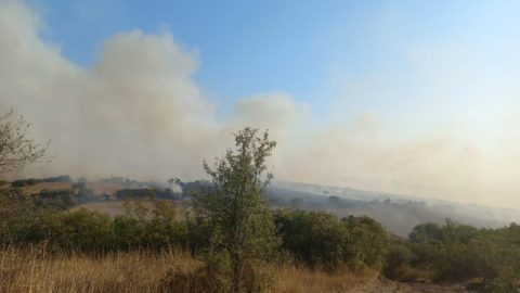 Balıkesir'de arazi yangını - Son Dakika Haberleri
