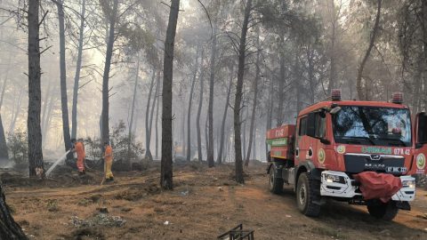 Bolu'da çıkan orman yangınına müdahale ediliyor