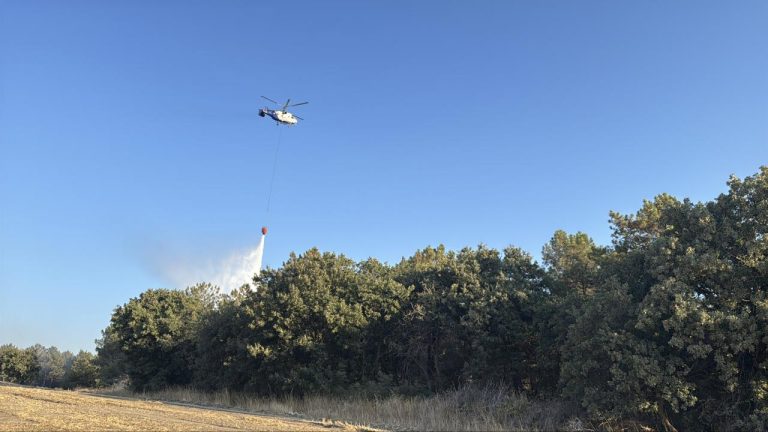 Çanakkale, Edirne ve Hatay'daki yangınlar kontrol altında