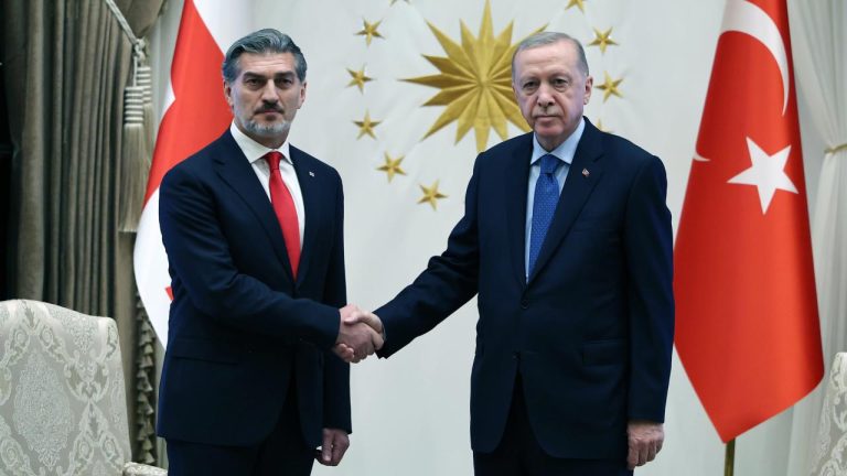 Gürcistan Cumhurbaşkanı: Erdoğan'ın barış rolü son derece önemli