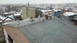 Ağrı’da kış ortasında bahar habercisi leylekler şaşırttı