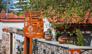 Narista Hayat, 17 Nisan’da Açılıyor Narista Hayat, 17 Nisan’da Açılıyor