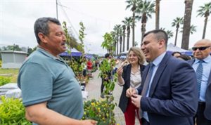 İzmir çiçek açtı, her yer rengârenk oldu İzmir çiçek açtı, her yer rengârenk oldu
