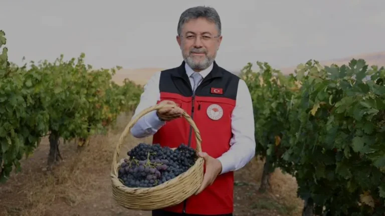 Bakan Yumaklı Türkiye 2024 üzüm üretim hedefini açıkladı Bakan Yumaklı Türkiye 2024 üzüm üretim hedefini açıkladı