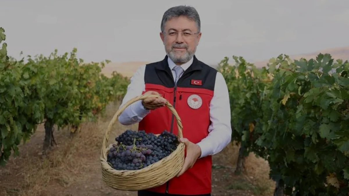 Bakan Yumaklı Türkiye 2024 üzüm üretim hedefini açıkladı Bakan Yumaklı Türkiye 2024 üzüm üretim hedefini açıkladı