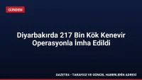 Diyarbakırda 217 Bin Kök Kenevir Operasyonla İmha Edildi