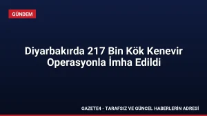 Diyarbakırda 217 Bin Kök Kenevir Operasyonla İmha Edildi Diyarbakırda 217 Bin Kök Kenevir Operasyonla İmha Edildi
