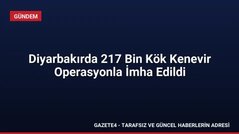 Diyarbakırda 217 Bin Kök Kenevir Operasyonla İmha Edildi